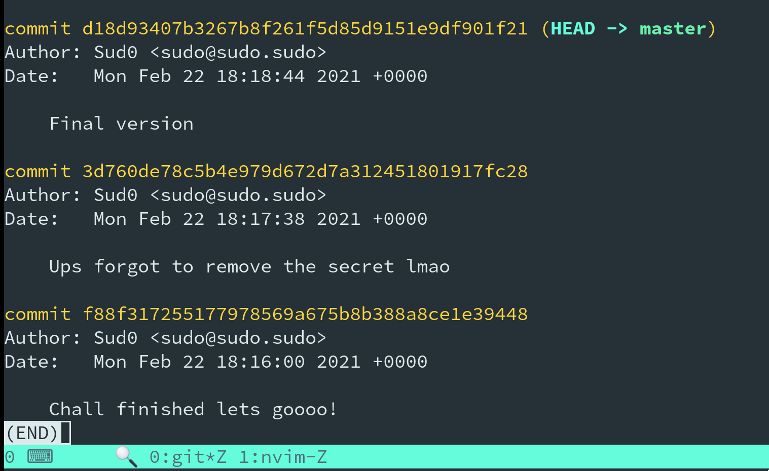 Successful Git Log